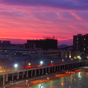 欧美大片黄片之舔吸阴道狂
